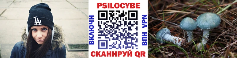 Галлюциногенные грибы MAGIC MUSHROOMS  где можно купить   Углич 